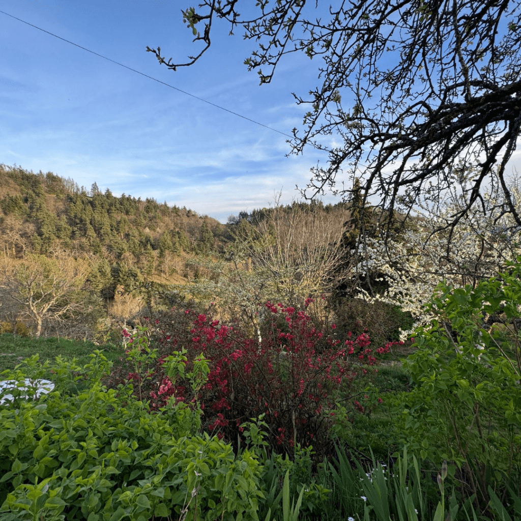 vue depuis un chemin interne sur les montagnes alentours