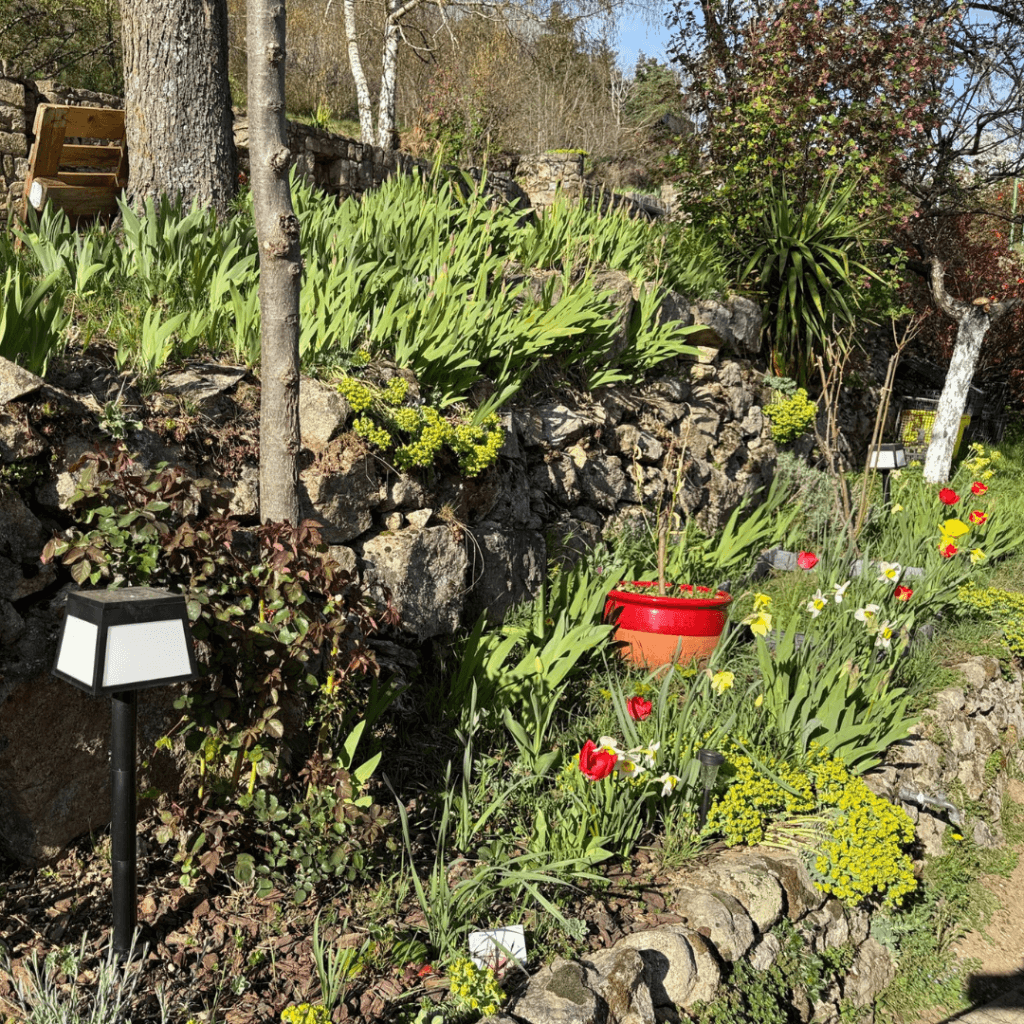 bord de chemin fleuri