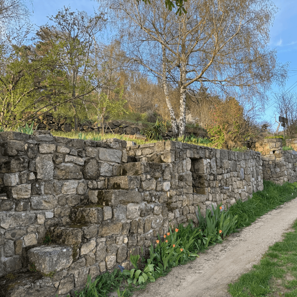 chemin et escalier en pierres bordé de tulipes oranges