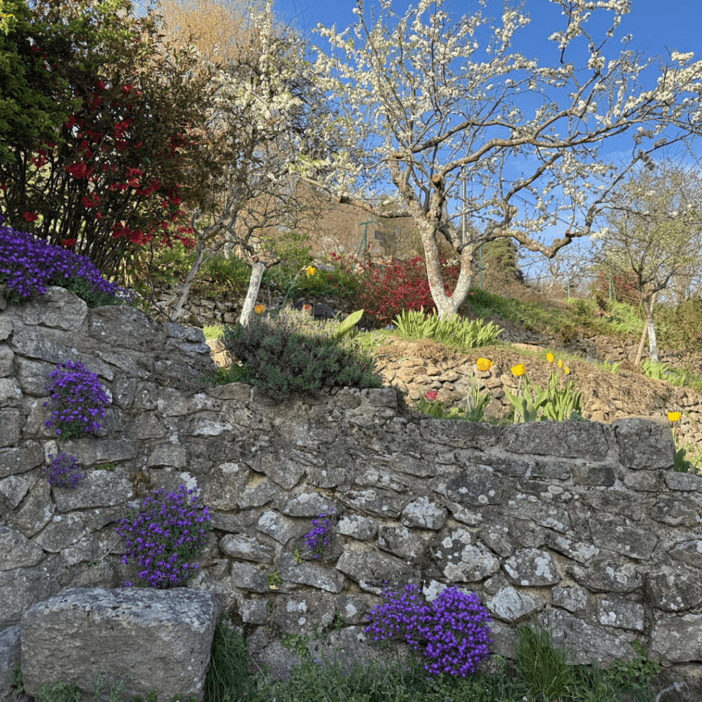 fleurs du coin jardin du gite pourette