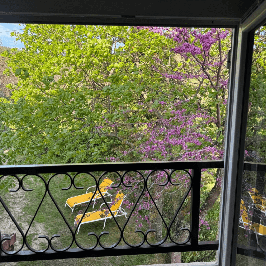 Gite Ardèche 5 personnes - vue depuis une fenêtre d'une chambre du gite la pourette, vue sur les transats du jardin et sur un arbre en fleurs