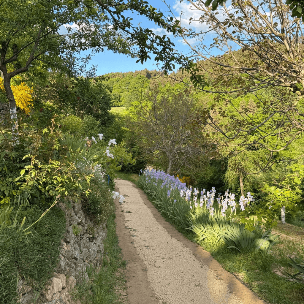 chemin fleuri et entouré de verdure