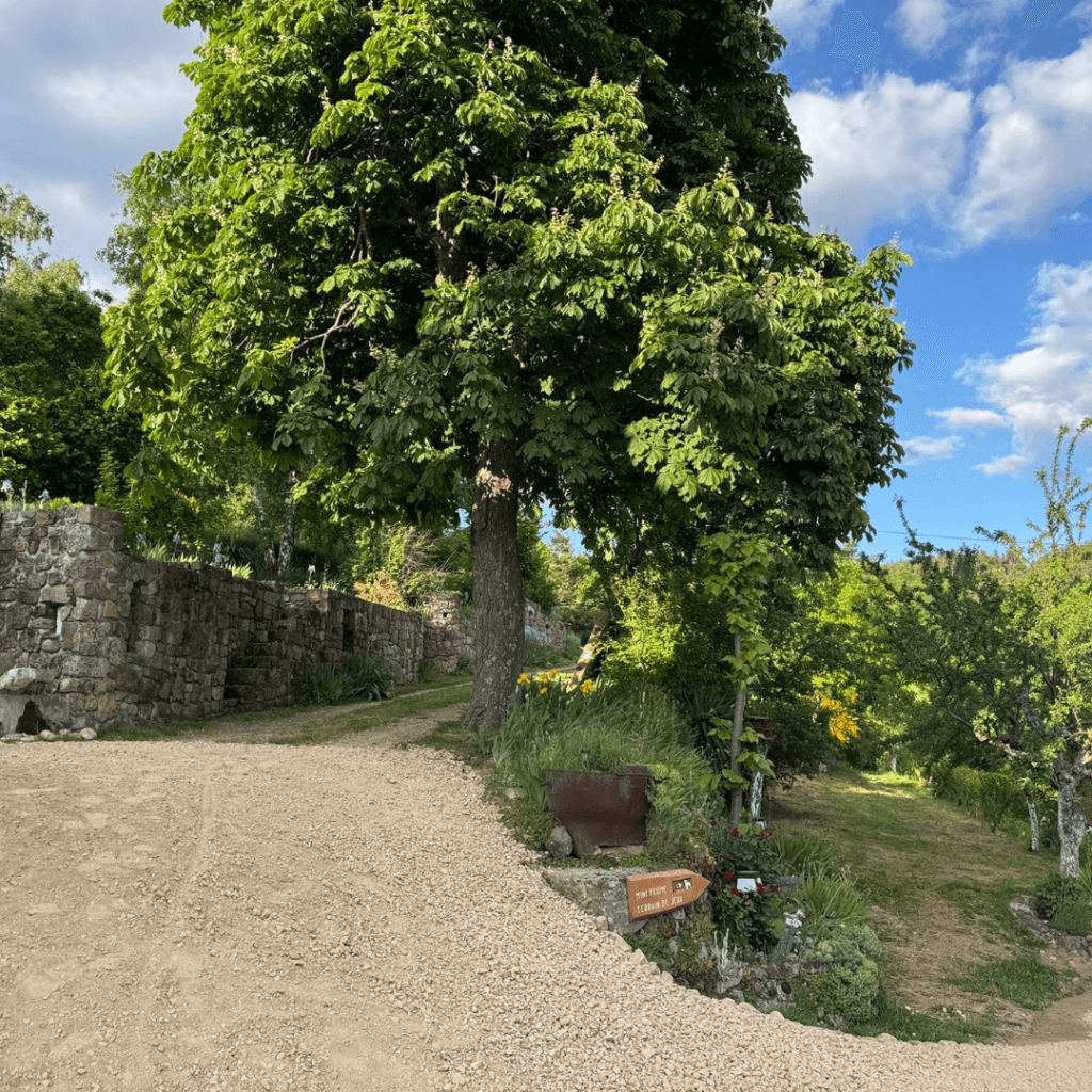 chemin avec un grand arbre, qui relie les gites