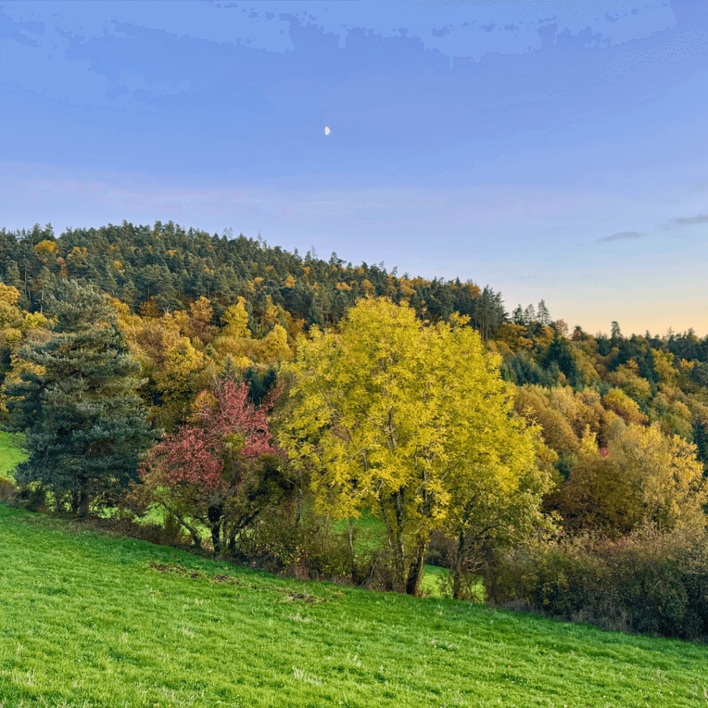automne couleurs Ardèche