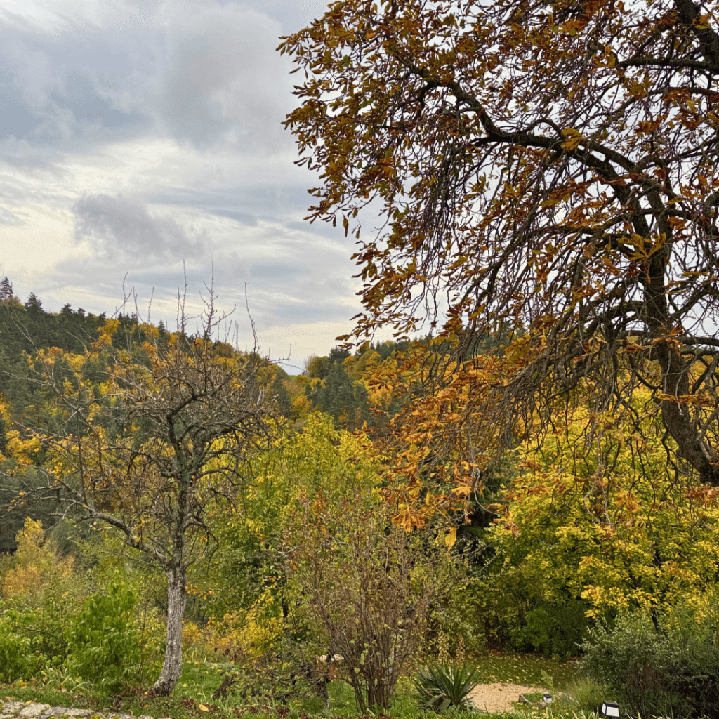 automne Ardèche